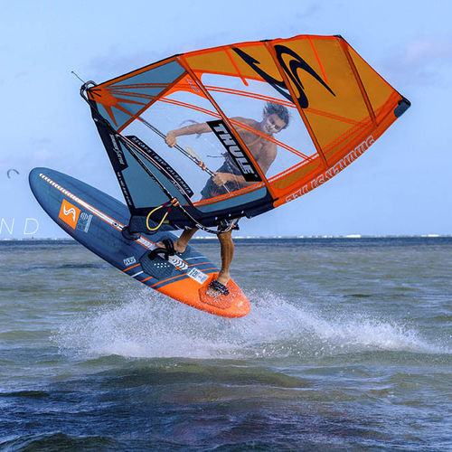Vela da windsurf da wave - ACE - Simmer - da freestyle / 4 stecche
