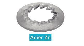 Rondella di arresto - JZC - MPI-INOX - a dentatura interna / in acciaio zincato