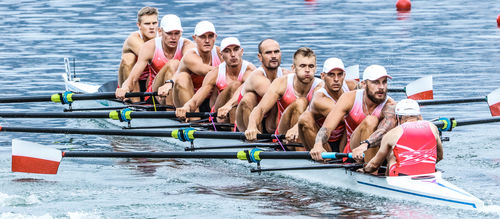 Barca da canottaggio da regata - F29 - Filippi - otto di punta / con timoniere