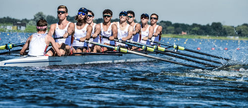 Barca da canottaggio da regata - F41 - Filippi - otto di punta / con timoniere