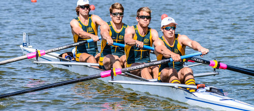 Barca da canottaggio da regata - F31 - Filippi - quattro di punta
