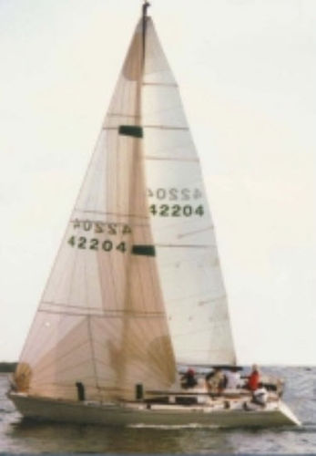 Randa - Neilpryde Sails - vela di prua / per barca a vela da regata / triradiale