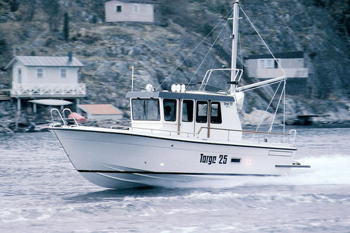 Walkaround entrobordo - 25 MkII - Targa - con cabina di pilotaggio / con fly / da pesca sportiva
