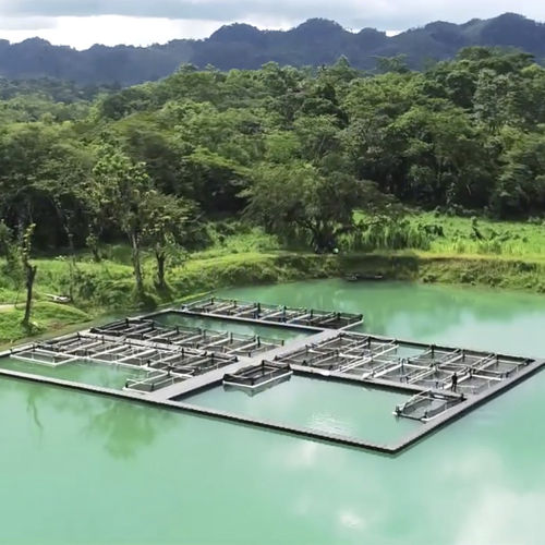 Piattaforma galleggiante - Aquaculture - CANDOCK - per acquacoltura