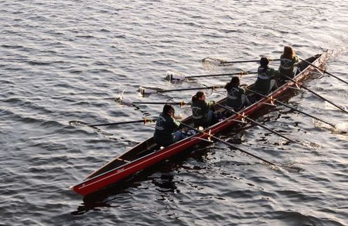 Barca da canottaggio cinque di coppia - C5x- BBG - Baumgarten Bootsbau