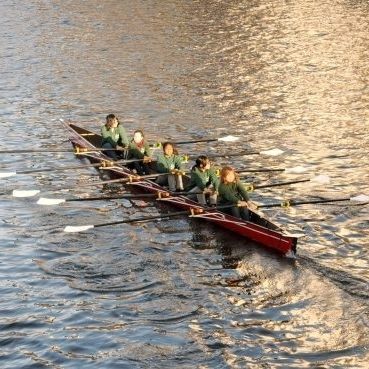 Barca da canottaggio da regata - C5x- - Baumgarten Bootsbau - da escursione / da turismo / quattro di coppia