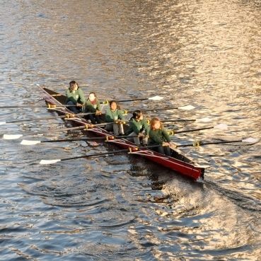 Barca da canottaggio da regata - C5x- Karlisch - Baumgarten Bootsbau - da escursione / da turismo / quattro di coppia