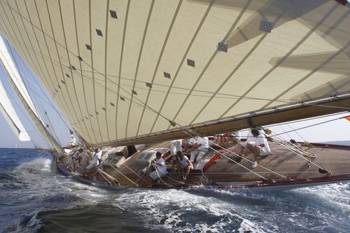 Tessuto per vele tessuto - FIBERCON® TRADITIONAL - Contender BV - per regata