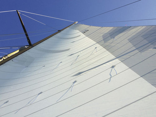 Tessuto per vele laminato - SF High Aspect - Dimension-Polyant - per crociera