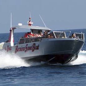 Barca professionale battello turistico - 1390 - MOGGARO ALUMINIUM YACHTS - entrobordo