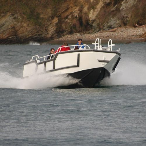 Barca professionale barca da lavoro - 900 TENDER - MOGGARO ALUMINIUM YACHTS - entrofuoribordo / diesel / in alluminio