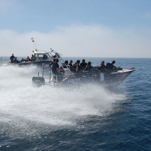 Barca professionale barca di supporto per immersioni - M650 - MOGGARO ALUMINIUM YACHTS - fuoribordo / in alluminio
