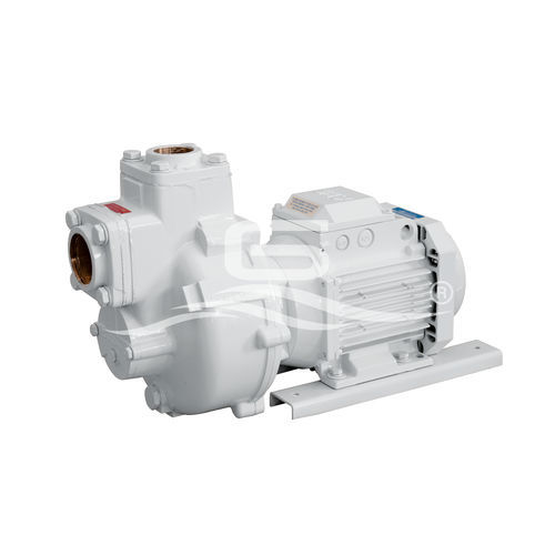 Pompa per barca - BMA-G - GIANNESCHI PUMPS & BLOWERS - di trasferimento / per acque reflue domestiche / a rotore