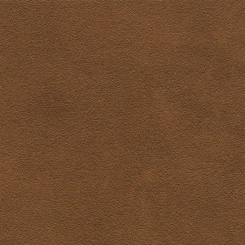 Coperta paddock impermeabile con collo alto interno pile e tessuto