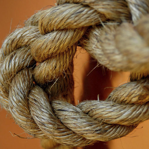 Cima multiuso - MANILA - Langman Touwfabriek | LangmanRopes - da ormeggio / trefolo / per barca a vela tradizionale