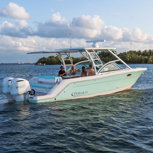 Runabout fuoribordo - R317  - Robalo - bimotore / bow-rider / con dual console