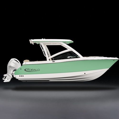 Barca open fuoribordo - R237 - Robalo - a benzina / con dual console / bow-rider