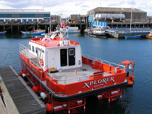 Barca professionale barca per trasporto equipaggio - ALN 065 ‘Xplorer’ - Alnmaritec - entrobordo a idrogetto