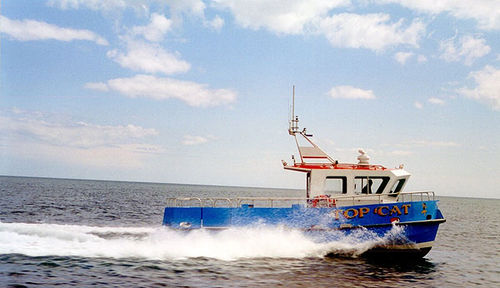 Barca professionale barca da pesca professionale - ALN 029 ‘Top Cat’ - Alnmaritec - catamarano / entrobordo