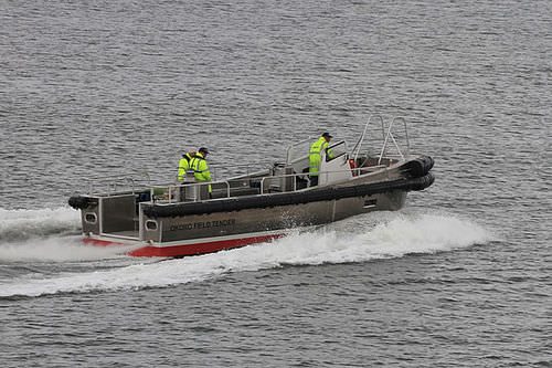 Barca professionale barca di assistenza all'attracco - ALN 164 - Okoro Field Tender - Alnmaritec - entrobordo