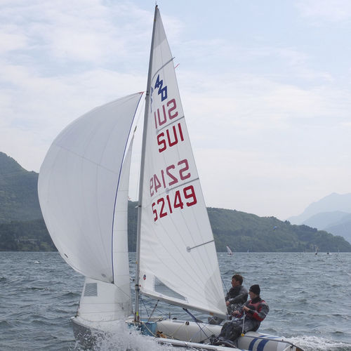 Randa - Ullman Sails - per deriva / taglio radiale / Dacron®