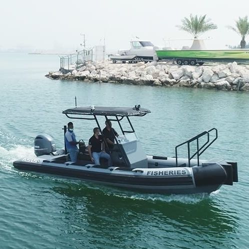 Barca professionale patrol boat - 7. M D-Tube - ASIS BOATS - barca da pesca professionale / fuoribordo / in alluminio