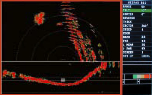 Sonar per barca - HD860 Series - Wesmar