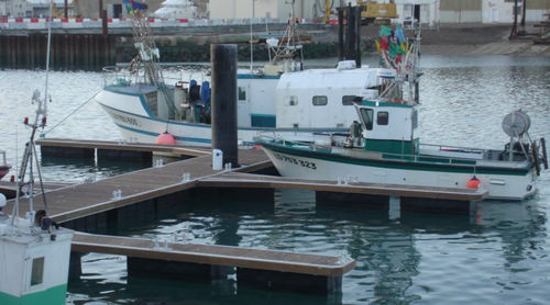 Pontile galleggiante - ATLANTIC MARINE - modulare / di ormeggio / per la pesca