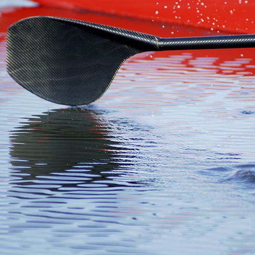 Remo per scull - APEX-REX  - Durham Boat Company - in carbonio