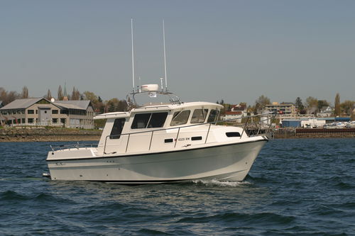 Cabin-cruiser entrobordo - OFFSHORE 3000 - Sea Sport, Inc - hard-top / da pesca sportiva / con 4 cuccette
