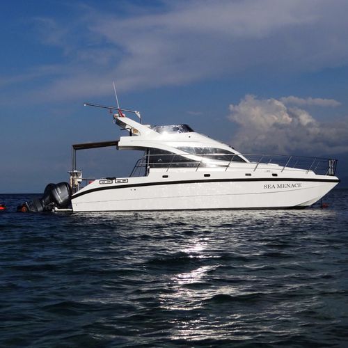 Motor-yacht catamarano - Sea Menace - North Sea Boats - rapido / con fly