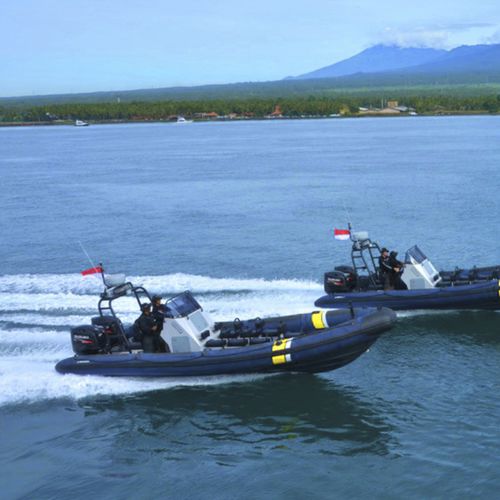 Barca professionale patrol boat - X8.5 - North Sea Boats - barca utilitaria / entrobordo / fuoribordo