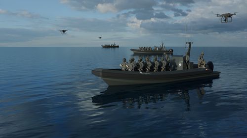 Barca professionale patrol boat - VALKYRIE 1200 - BORD A BORD - barca da lavoro / imbarcazione di servizio / imbarcazione di servizio portuale