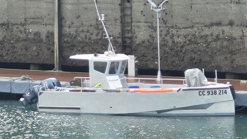 Barca da pesca e diporto fuoribordo - Amarès REVERSE 800 Caseyeur - BORD A BORD - bimotore / con cabina di pilotaggio / multiuso