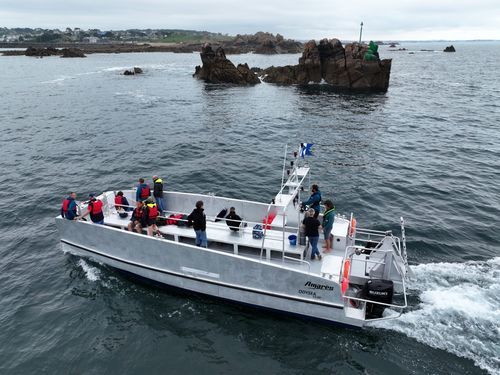 Nave di supporto per immersione - OdySea 11.00 - BORD A BORD - catamarano / in alluminio