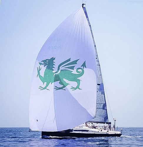 Spinnaker asimmetrico - A1 - UK-Halsey International - per barca a vela da regata / in nylon