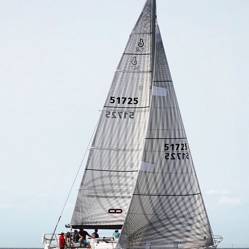 Randa - X-Drive - UK-Halsey International - per barca a vela da regata / in carbonio / full-batten