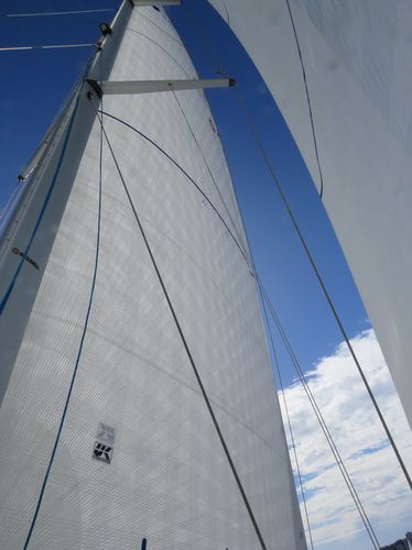 Randa - Endure  - UK-Halsey International - per barca a vela da crociera / in poliestere / Dyneema®