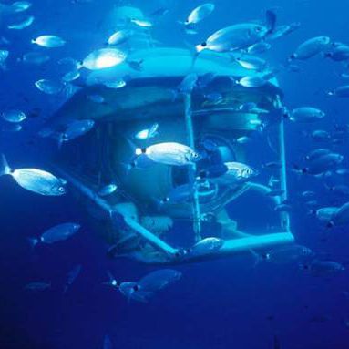 Sottomarino per turismo - LARGE  - Silvercrest Submarines