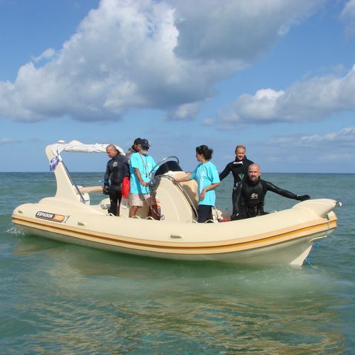 Gommone fuoribordo - 625 CL - ESPADON CONCEPT - bimotore / semirigido / con console centrale