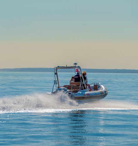 Gommone fuoribordo - 550 PRO  - ESPADON CONCEPT - semirigido / con console centrale / da immersione