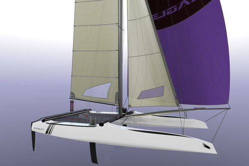 Catamarano sportivo per regata costiera - 20 C - Eagle Catamarans - per due persone / con trapezio doppio / spinnaker asimmetrico
