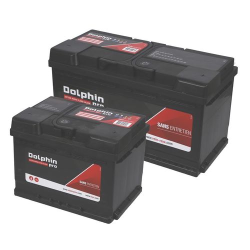 Batteria marina - PRO SERIES - DOLPHIN CHARGER - 12 V / piombo / piombo-acido