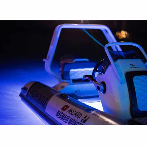 Illuminazione Subacquea Per Barca - Piranha P12 - BluefinLed - Per Yacht / LED / Sporgente - Foto 7