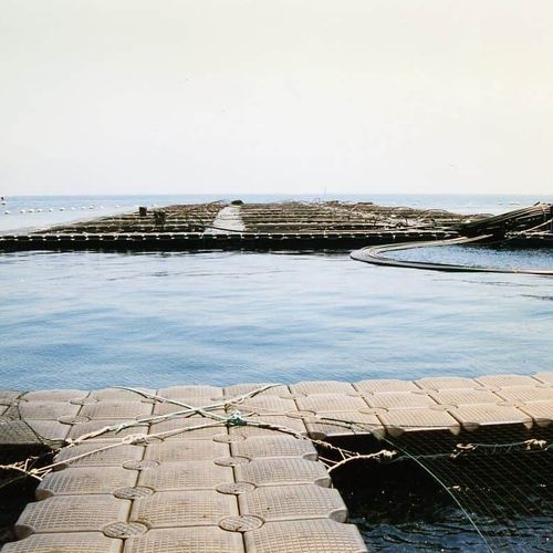 Pontile galleggiante - 12 series - JETFLOAT INTERNATIONAL - modulare / di ormeggio / per acquacoltura