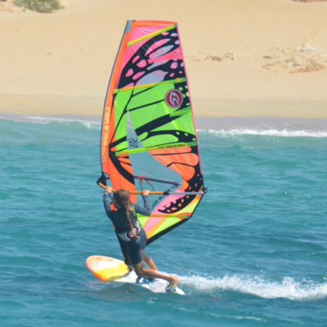 Vela da windsurf da wave - MICROFREAK - HOT SAILS MAUI - RDM / 4 stecche