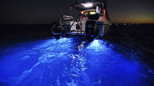 Luce LED Subacquea Da Pesca Dorisea: Attrattiva Per Esche, Colori Multipli, Batteria