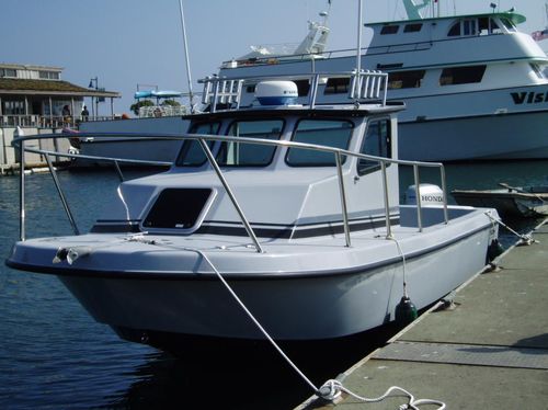 Cabin-cruiser fuoribordo - Signature 22 - Radon - da pesca sportiva / con 3 cuccette