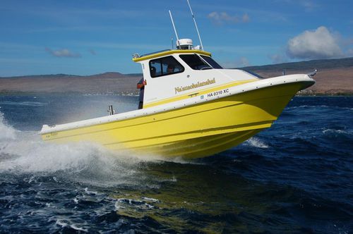 Barca professionale patrol boat - Radon - entrobordo