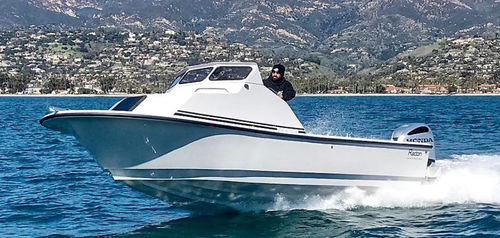 Day cruiser fuoribordo - 20 - Radon - open / da immersione / da pesca sportiva
